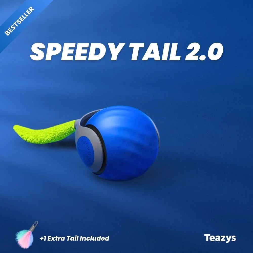 SPEEDY TAIL 2.0