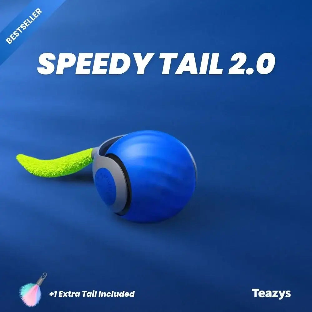 SPEEDY TAIL 2.0