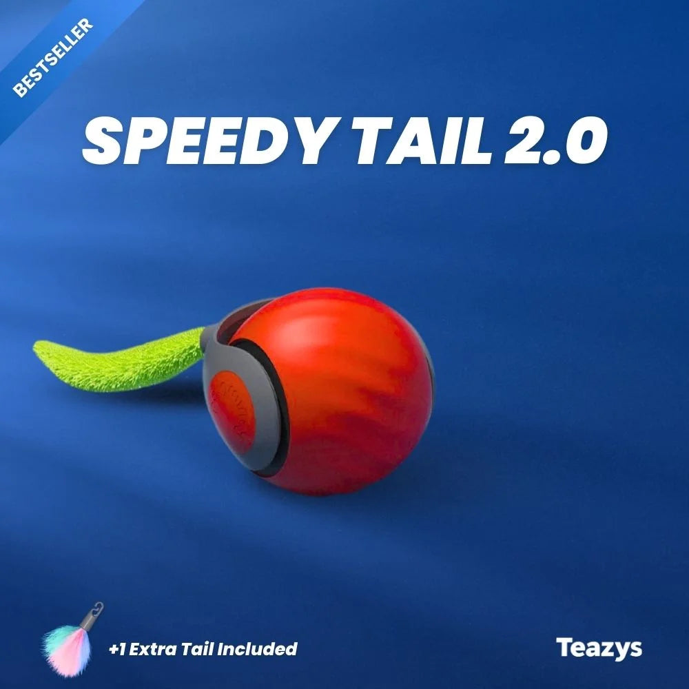 SPEEDY TAIL 2.0