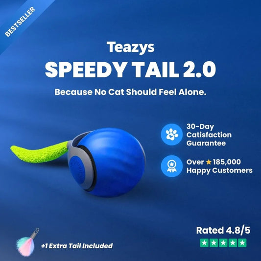 SPEEDY TAIL 2.0